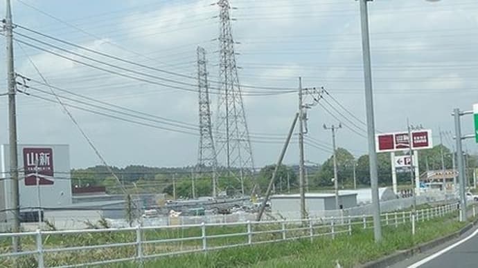夏野菜の苗を購入