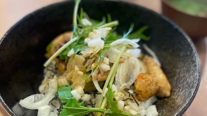 とり塩ラーメンと焼き鳥丼@やんべ丼 加東市