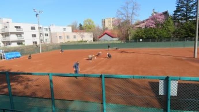 札幌にいます(6日目)寒地土木研究所の桜