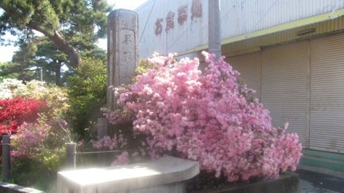 『つつじ祭り』