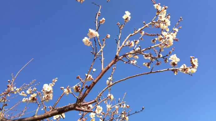 寒い中でもしあわせを