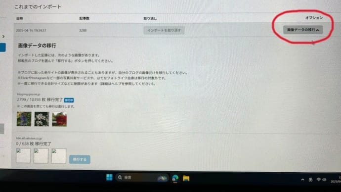 ブログ移転の事(続)