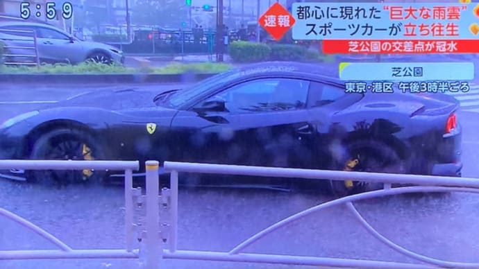 東京でゲリラ豪雨 スーパーカーが立往生
