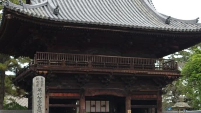 加古川鶴林寺のツツジ