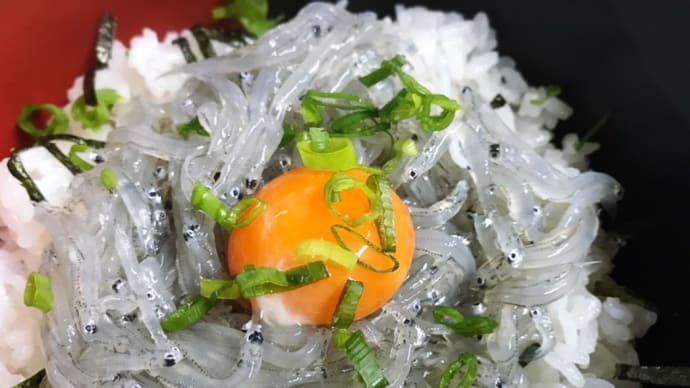 釣具店の店長に釣りを教えてもらいながらもらいました🔥✨