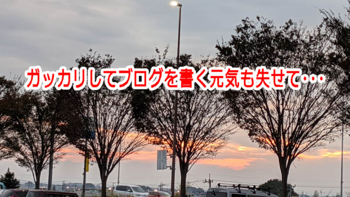 ガッカリしてブログを書く元気も失せて・・・