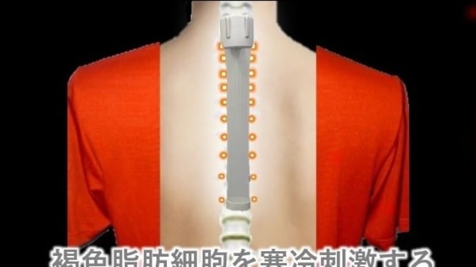 脂肪を燃やして痩せるエビデンスをあなたも実践すると簡単にできます。