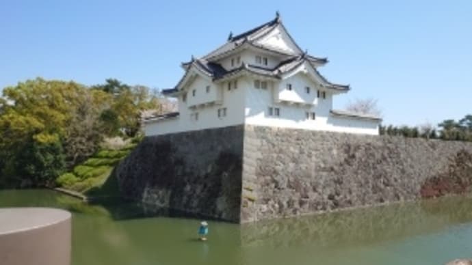 駿府城公園と桜
