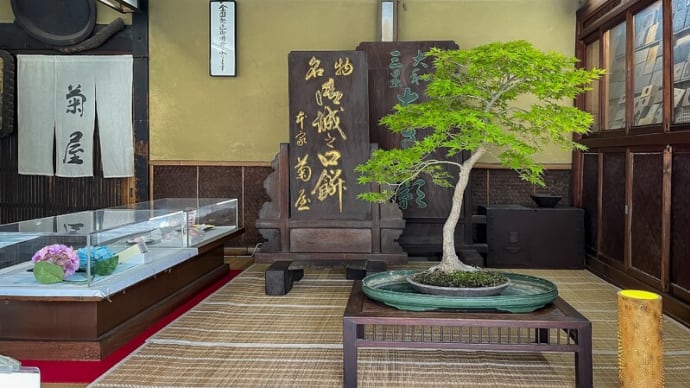 御城之口餅 ~老舗菊屋さんの絶品うぐいす餅~