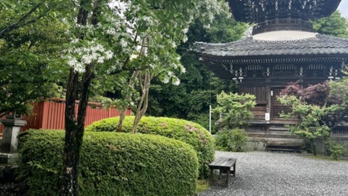 まいつき西国巡礼⑧