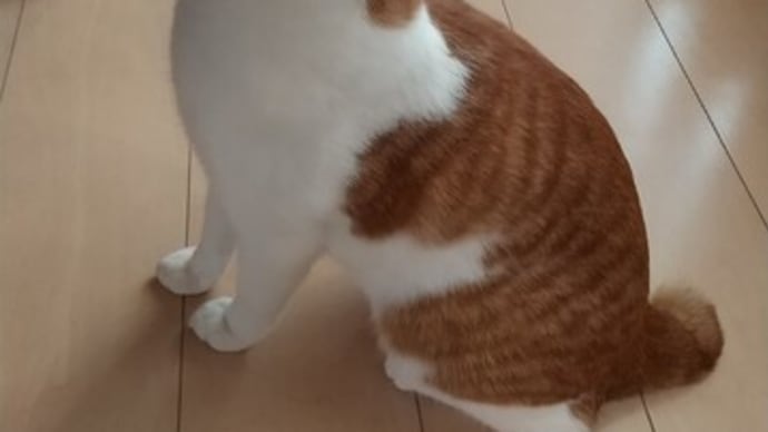 そして、月曜。