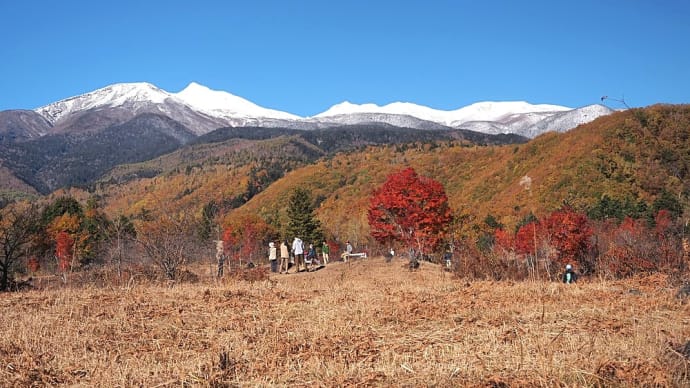 ★乗鞍高原一の瀬園地にて① 2023