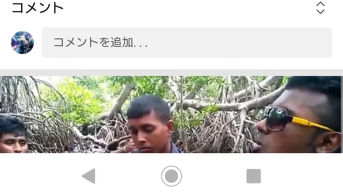 夢見る少女じゃいられない シャア