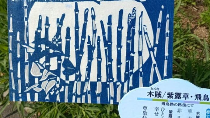 デジタル文盲の悲劇