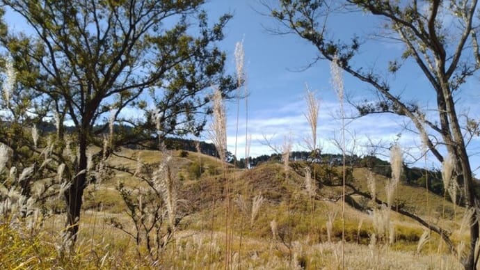 2025-03-20 Photo