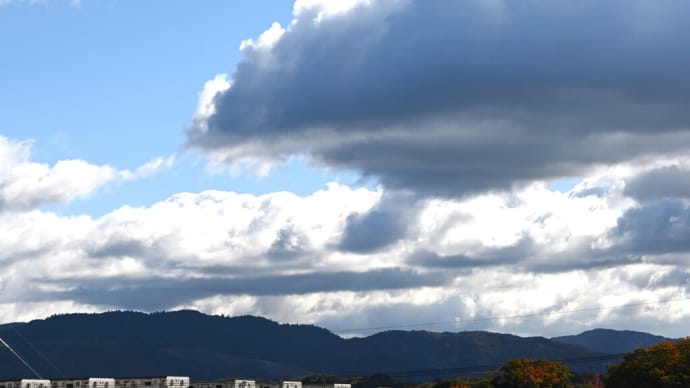 柳生でモミジ狩りを