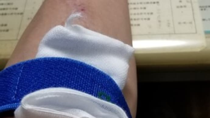 おでこ貸してください。。