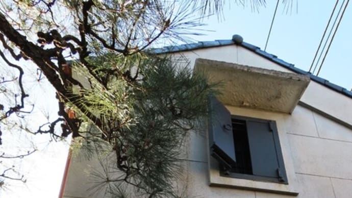きっと最後の大仕事(部屋づくり)