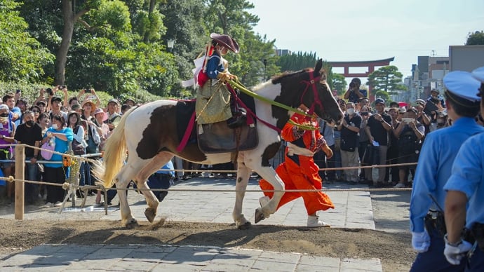 瞬刻2023 小笠原流流鏑馬【鶴岡八幡宮】春の武田流との違いが面白い