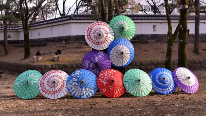 3月の花手水🌷「2025」