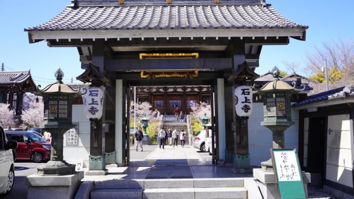 石上寺「熊谷桜」