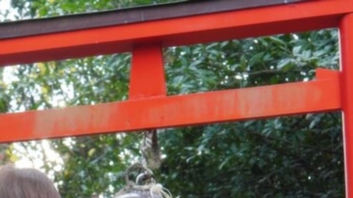 お教室の後は・・・