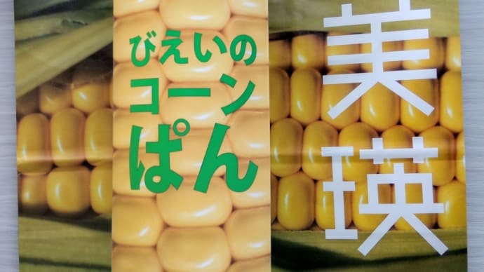 リサの北海道旅行㉜ 麺屋彩未🍜と美瑛選果🫘🌽とスープカレーLavi🍛
