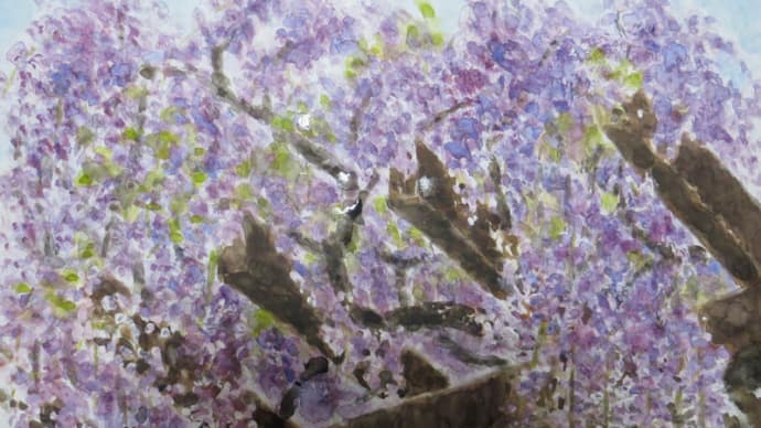 楽描き風景水彩画「藤の花」