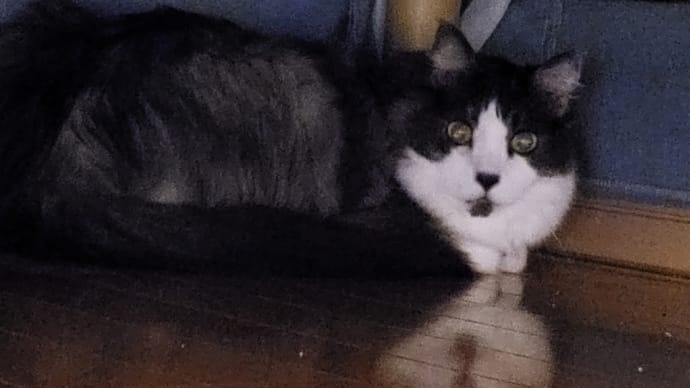 ソラちゃんです。