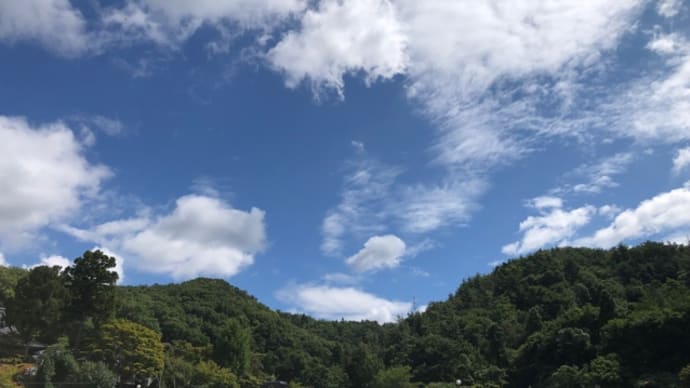 ハードな世代