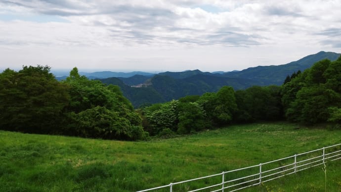ソフトクリームとヤマツツジ (東秩父村・秩父高原牧場&二本木峠)