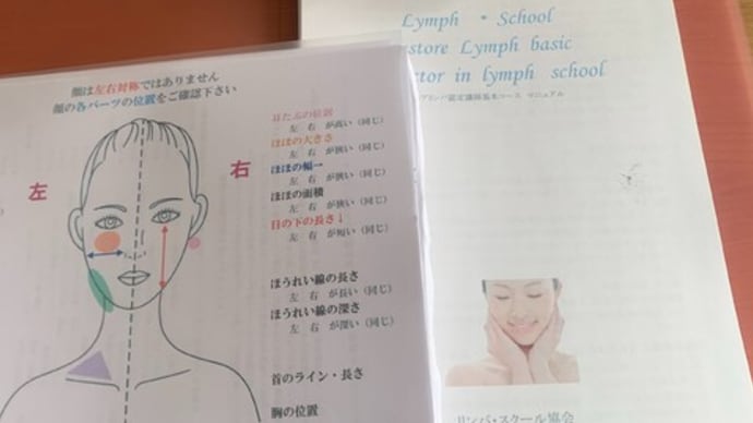 ドイツのリンパ学の美容エッセンス