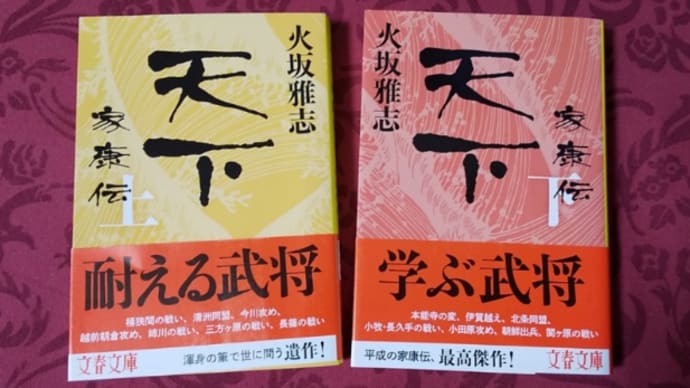 '23年NHK大河『どうする家康』の始まる前に