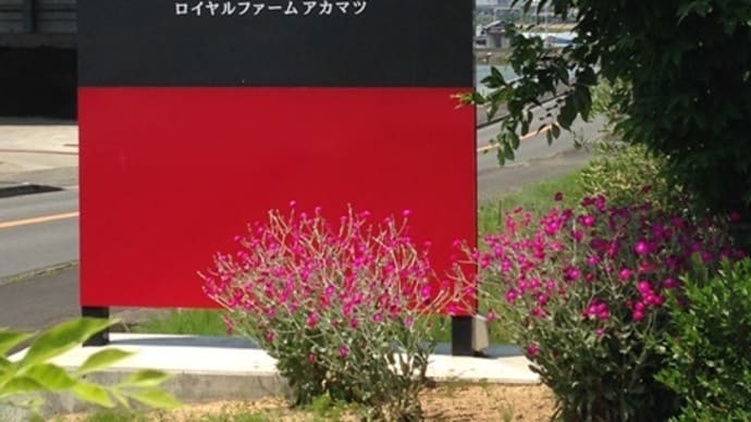 ROYAL FARM AKAMATSU (ロイヤルファーム アカマツ)