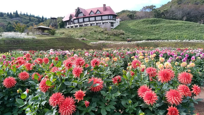 秋田国際ダリア園