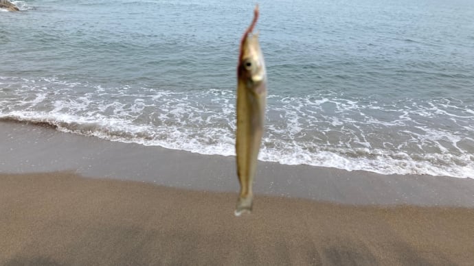 新潟での〜んびりと