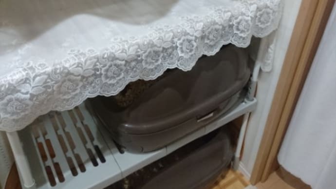 猫トイレ〜2階建てにしよう〜その3