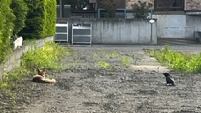 注意です。