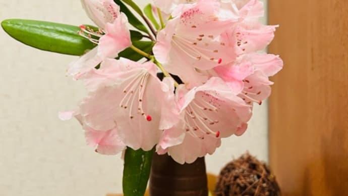 花・花・花とPケース