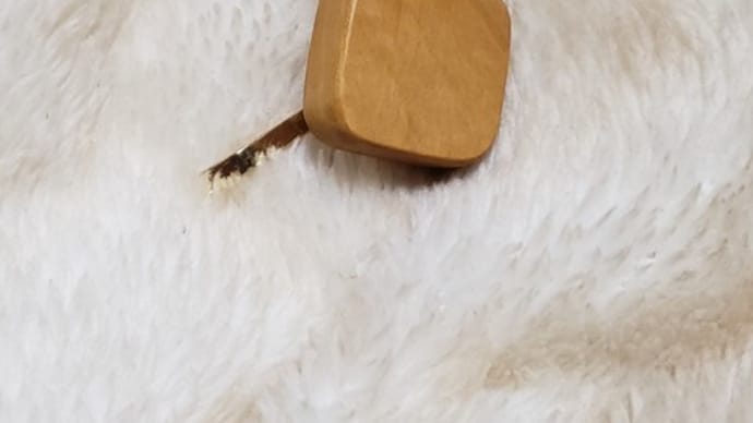 L005~ペクイアのポニーフック pequia pony hook
