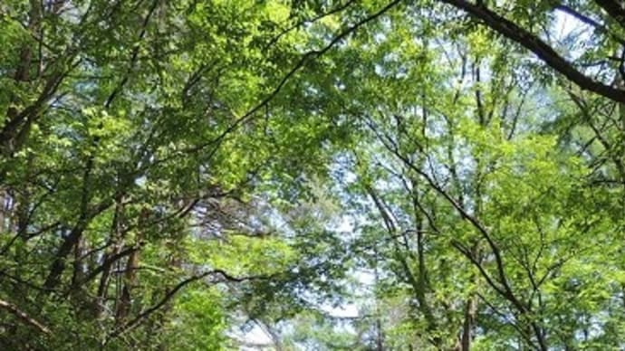 健康を学んで