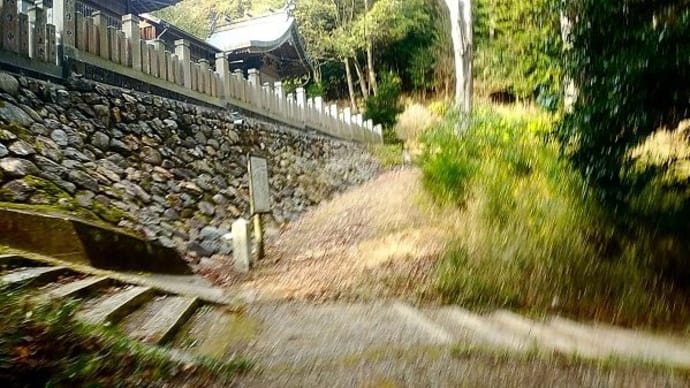 「最上山」　散歩　(八幡神社から千畳敷公園ぐるり)