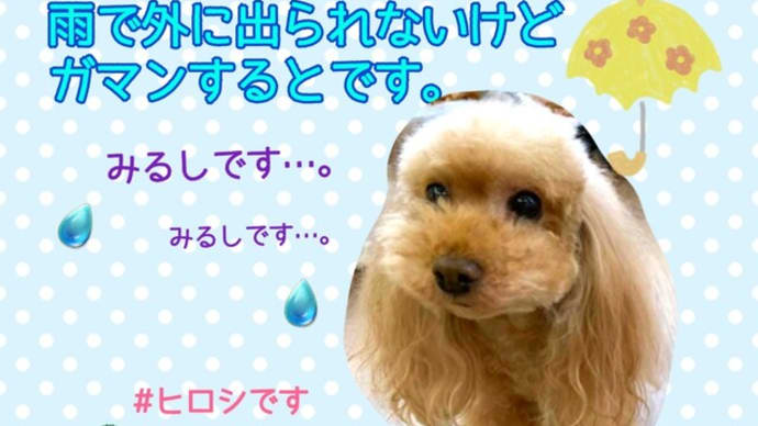 ただいまサマーキャンペーン中!