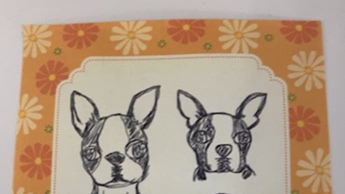 ワンチャーン🐶