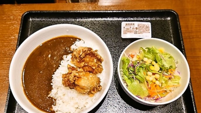 吉野家（浦安駅前店）でから揚げ黒カレー＋生野菜サラダ（2024年11月24日）