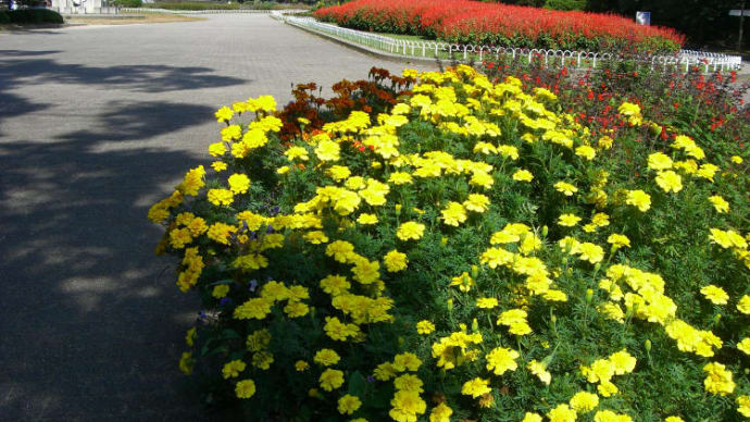 京都府立植物園
