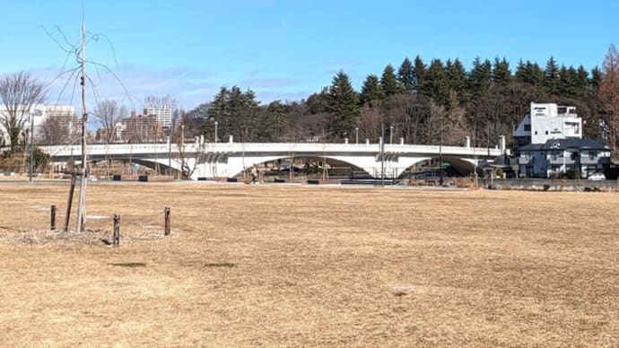 「仙台散歩」15㎞　仙台緑彩館から勾当台公園、榴ヶ岡公園そして柳町大日如来目指して２万歩。