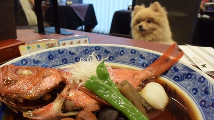 ペットスパホテル伊豆高原に泊まりました