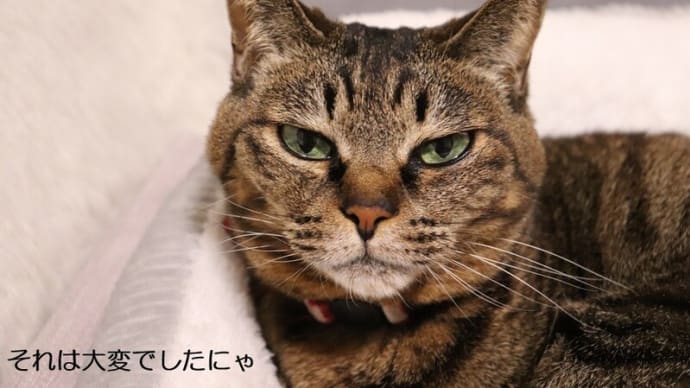 足痛いけど・・・。