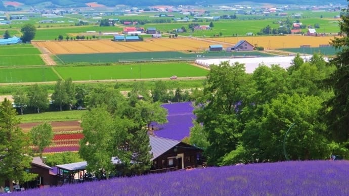 5日後青空のファーム富田は最強です✨✨